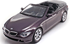 BMW 645 Ci (E64) (кабриолет) 2005 Welly 1:18 - Детайли