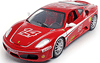 Ferrari F430 Challenge (Rennwagen) 2006 Hot Wheels 1:18 - Details