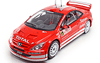 Peugeot 307 WRC (Rennwagen) 2004 Solido 1:18 - Details